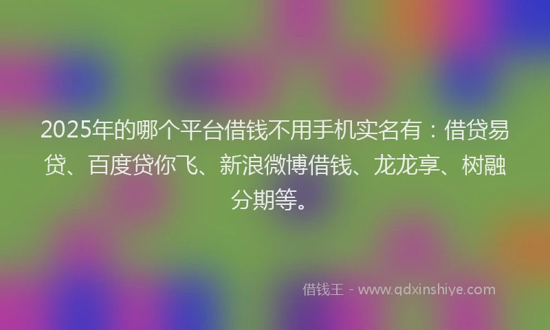 2025年的哪个平台借钱不用手机实名有：借贷易贷、百度贷你飞、新浪微博借钱、龙龙享、树融分期等。