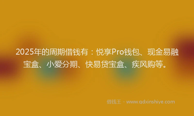 2025年的周期借钱有：悦享Pro钱包、现金易融宝盒、小爱分期、快易贷宝盒、疾风购等。