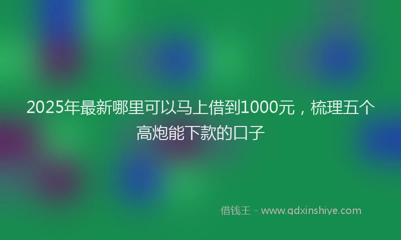 2025年最新哪里可以马上借到1000元，梳理五个高炮能下款的口子