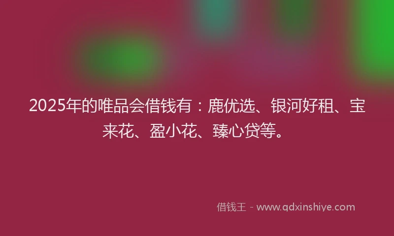 2025年的唯品会借钱有：鹿优选、银河好租、宝来花、盈小花、臻心贷等。