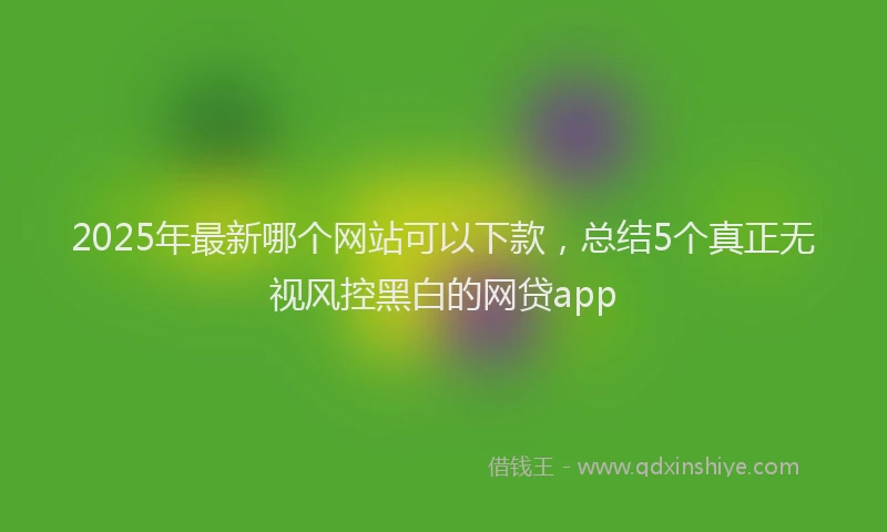 2025年最新哪个网站可以下款，总结5个真正无视风控黑白的网贷app