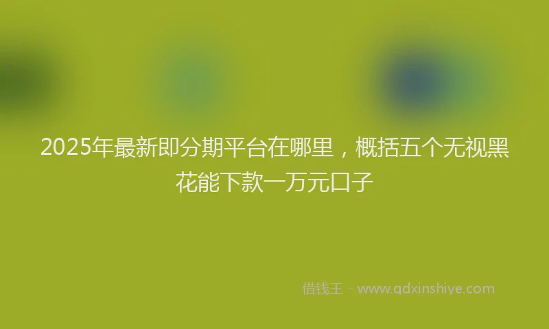 2025年最新即分期平台在哪里，概括五个无视黑花能下款一万元口子
