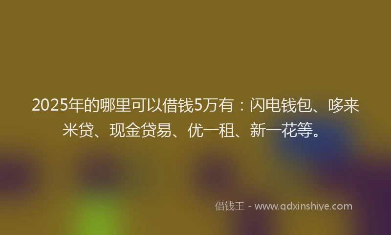 2025年的哪里可以借钱5万有：闪电钱包、哆来米贷、现金贷易、优一租、新一花等。