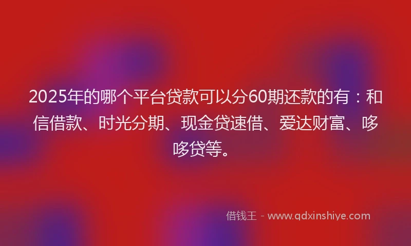 2025年的哪个平台贷款可以分60期还款的有：和信借款、时光分期、现金贷速借、爱达财富、哆哆贷等。