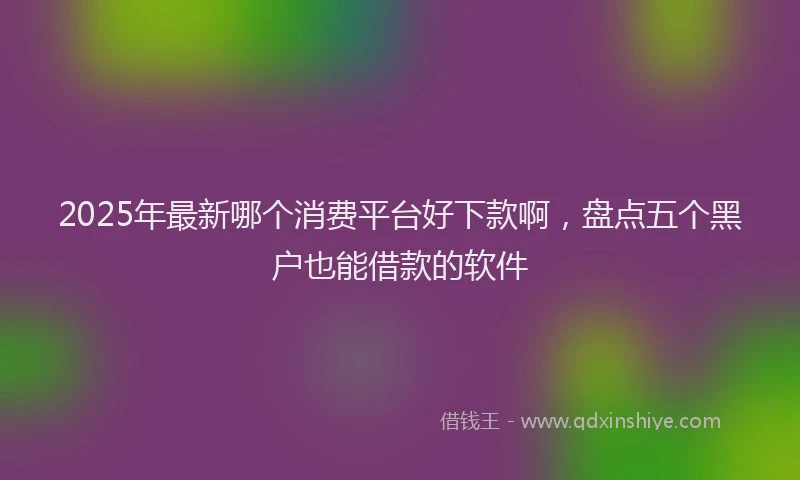 2025年最新哪个消费平台好下款啊，盘点五个黑户也能借款的软件