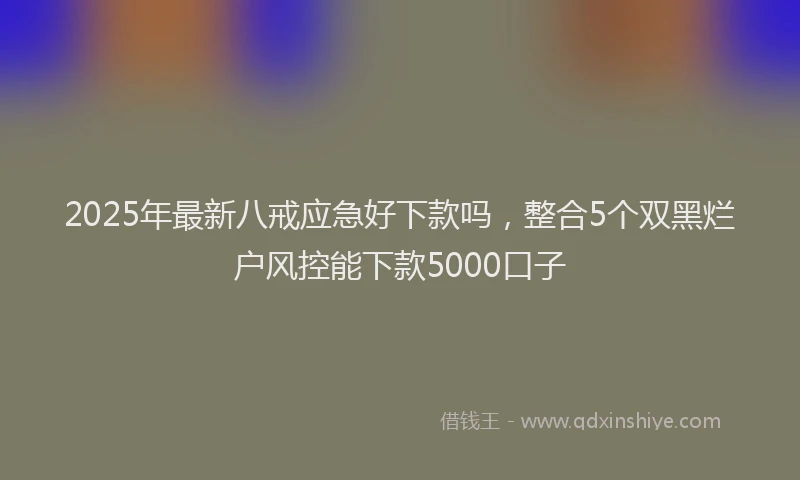 2025年最新八戒应急好下款吗，整合5个双黑烂户风控能下款5000口子