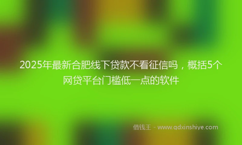 2025年最新合肥线下贷款不看征信吗，概括5个网贷平台门槛低一点的软件