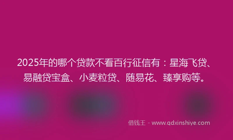 2025年的哪个贷款不看百行征信有：星海飞贷、易融贷宝盒、小麦粒贷、随易花、臻享购等。