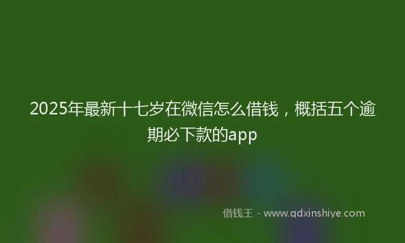 2025年最新十七岁在微信怎么借钱，概括五个逾期必下款的app