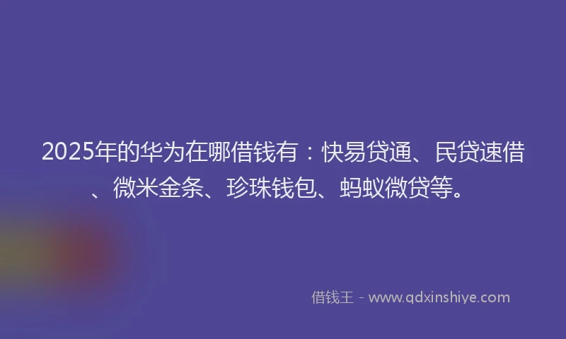 2025年的华为在哪借钱有：快易贷通、民贷速借、微米金条、珍珠钱包、蚂蚁微贷等。
