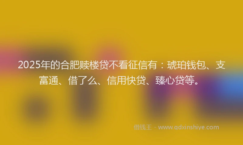 2025年的合肥赎楼贷不看征信有：琥珀钱包、支富通、借了么、信用快贷、臻心贷等。