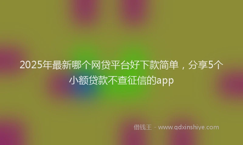 2025年最新哪个网贷平台好下款简单，分享5个小额贷款不查征信的app