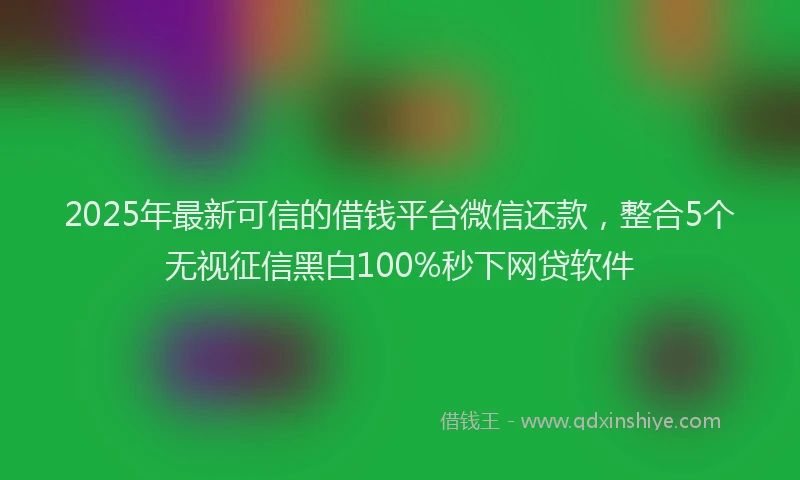 2025年最新可信的借钱平台微信还款，整合5个无视征信黑白100%秒下网贷软件