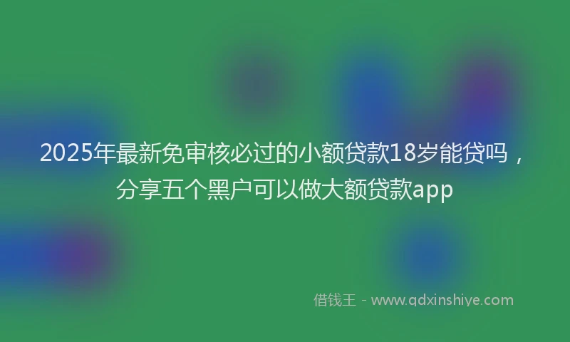 2025年最新免审核必过的小额贷款18岁能贷吗，分享五个黑户可以做大额贷款app