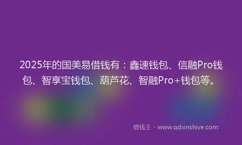 2025年的国美易借钱有：鑫速钱包、信融Pro钱包、智享宝钱包、葫芦花、智融Pro+钱包等。