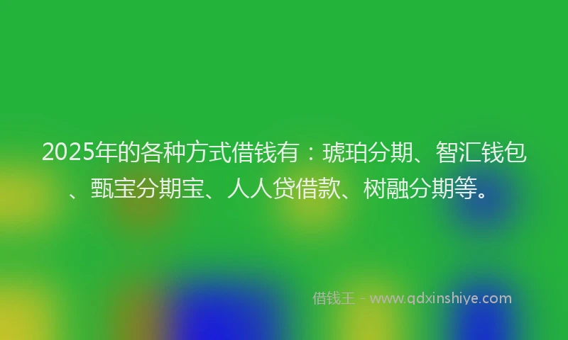 2025年的各种方式借钱有：琥珀分期、智汇钱包、甄宝分期宝、人人贷借款、树融分期等。