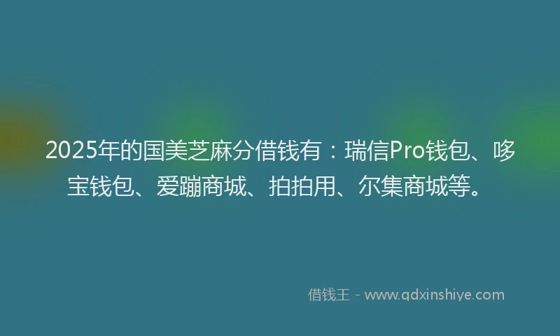 2025年的国美芝麻分借钱有：瑞信Pro钱包、哆宝钱包、爱蹦商城、拍拍用、尔集商城等。