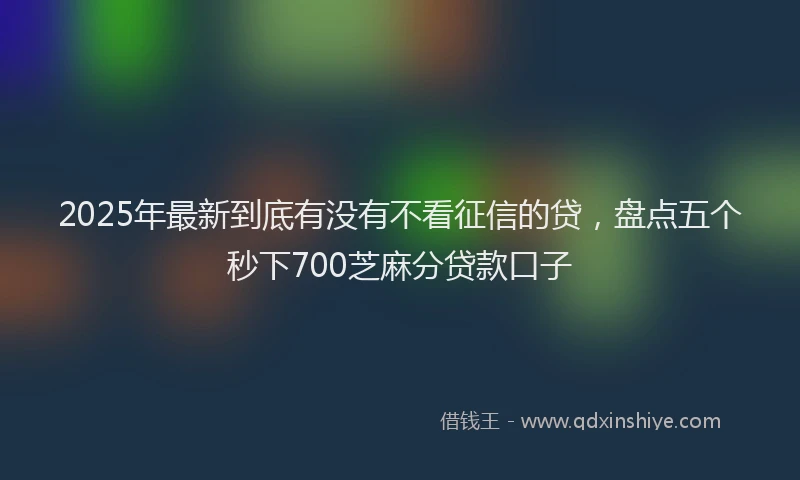 2025年最新到底有没有不看征信的贷，盘点五个秒下700芝麻分贷款口子
