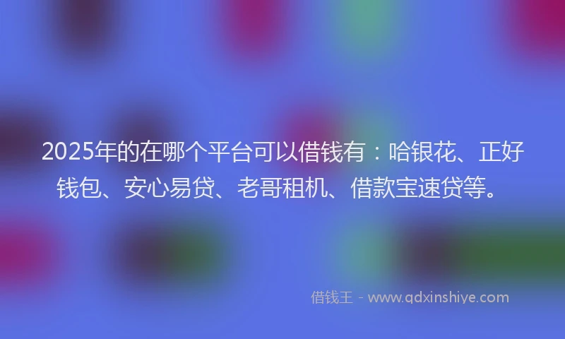 2025年的在哪个平台可以借钱有：哈银花、正好钱包、安心易贷、老哥租机、借款宝速贷等。