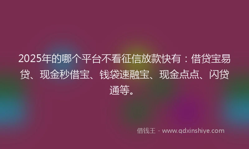 2025年的哪个平台不看征信放款快有：借贷宝易贷、现金秒借宝、钱袋速融宝、现金点点、闪贷通等。