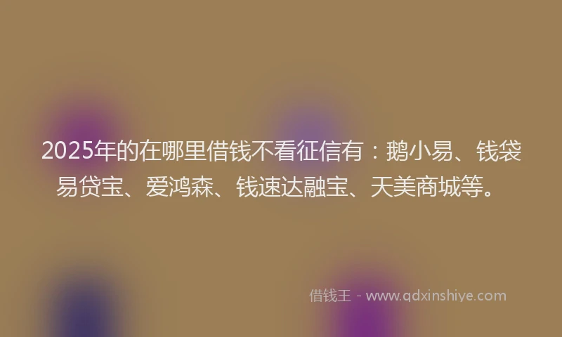 2025年的在哪里借钱不看征信有：鹅小易、钱袋易贷宝、爱鸿森、钱速达融宝、天美商城等。