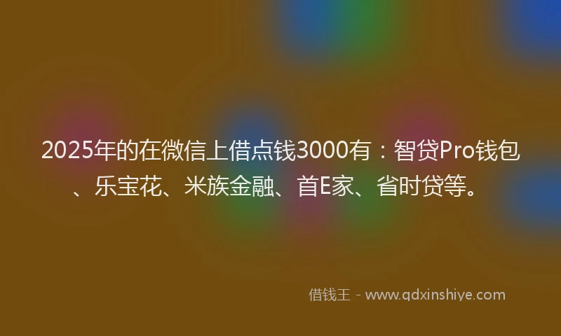 2025年的在微信上借点钱3000有：智贷Pro钱包、乐宝花、米族金融、首E家、省时贷等。