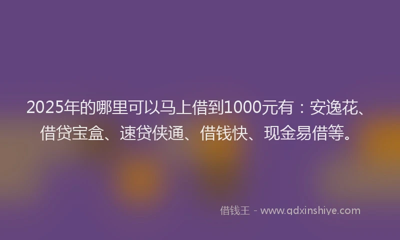 2025年的哪里可以马上借到1000元有：安逸花、借贷宝盒、速贷侠通、借钱快、现金易借等。