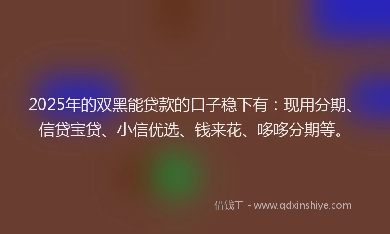 2025年的双黑能贷款的口子稳下有：现用分期、信贷宝贷、小信优选、钱来花、哆哆分期等。