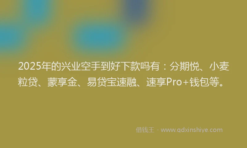 2025年的兴业空手到好下款吗有：分期悦、小麦粒贷、蒙享金、易贷宝速融、速享Pro+钱包等。