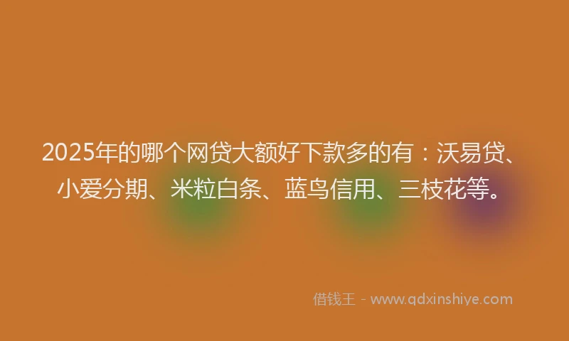 2025年的哪个网贷大额好下款多的有：沃易贷、小爱分期、米粒白条、蓝鸟信用、三枝花等。