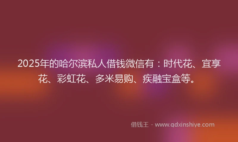 2025年的哈尔滨私人借钱微信有：时代花、宜享花、彩虹花、多米易购、疾融宝盒等。
