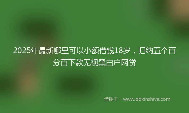 2025年最新哪里可以小额借钱18岁，归纳五个百分百下款无视黑白户网贷