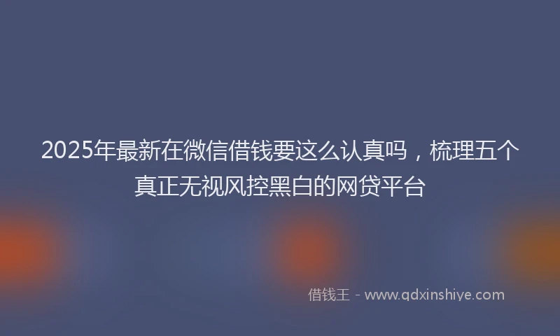 2025年最新在微信借钱要这么认真吗，梳理五个真正无视风控黑白的网贷平台