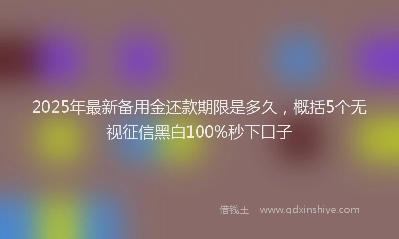 2025年最新备用金还款期限是多久，概括5个无视征信黑白100%秒下口子