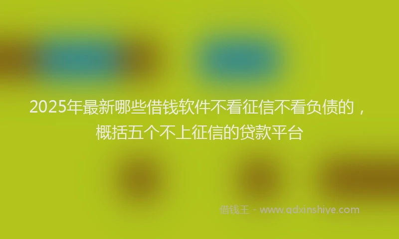 2025年最新哪些借钱软件不看征信不看负债的，概括五个不上征信的贷款平台