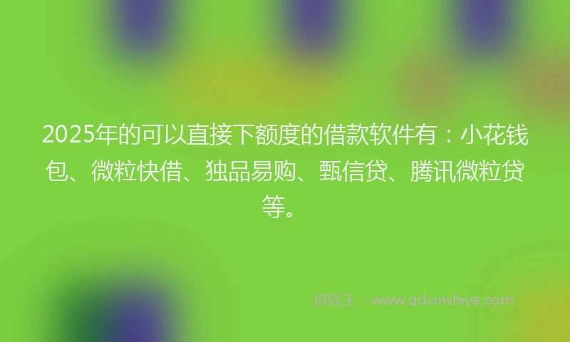 2025年的可以直接下额度的借款软件有：小花钱包、微粒快借、独品易购、甄信贷、腾讯微粒贷等。