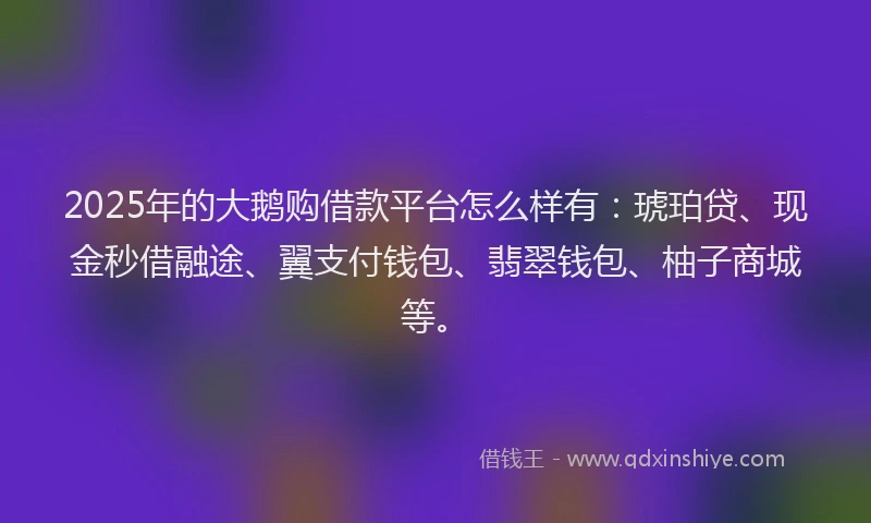 2025年的大鹅购借款平台怎么样有：琥珀贷、现金秒借融途、翼支付钱包、翡翠钱包、柚子商城等。