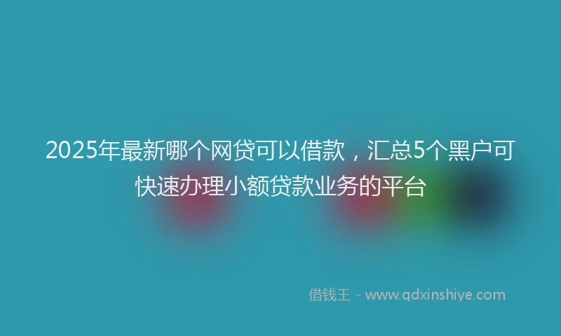 2025年最新哪个网贷可以借款，汇总5个黑户可快速办理小额贷款业务的平台