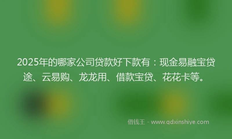 2025年的哪家公司贷款好下款有：现金易融宝贷途、云易购、龙龙用、借款宝贷、花花卡等。