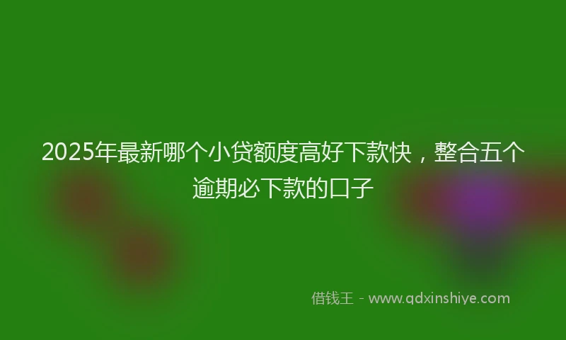 2025年最新哪个小贷额度高好下款快，整合五个逾期必下款的口子