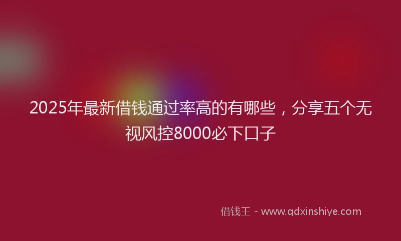 2025年最新借钱通过率高的有哪些，分享五个无视风控8000必下口子