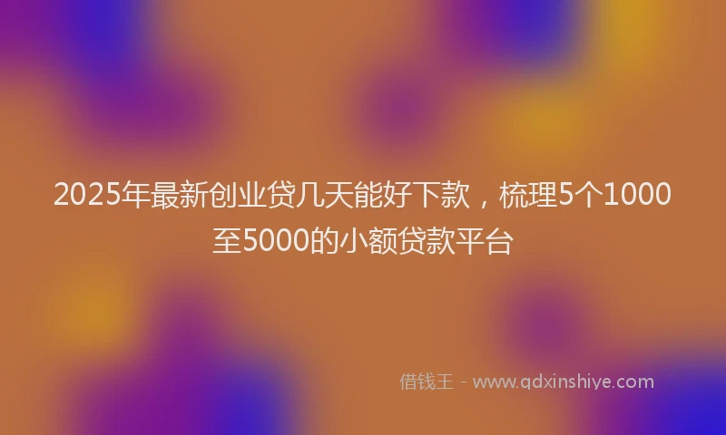 2025年最新创业贷几天能好下款，梳理5个1000至5000的小额贷款平台