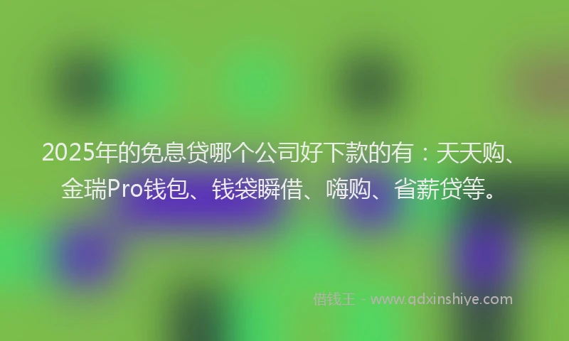 2025年的免息贷哪个公司好下款的有：天天购、金瑞Pro钱包、钱袋瞬借、嗨购、省薪贷等。