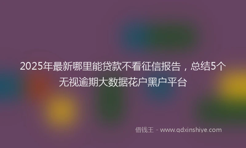 2025年最新哪里能贷款不看征信报告，总结5个无视逾期大数据花户黑户平台