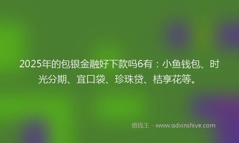 2025年的包银金融好下款吗6有：小鱼钱包、时光分期、宜口袋、珍珠贷、桔享花等。