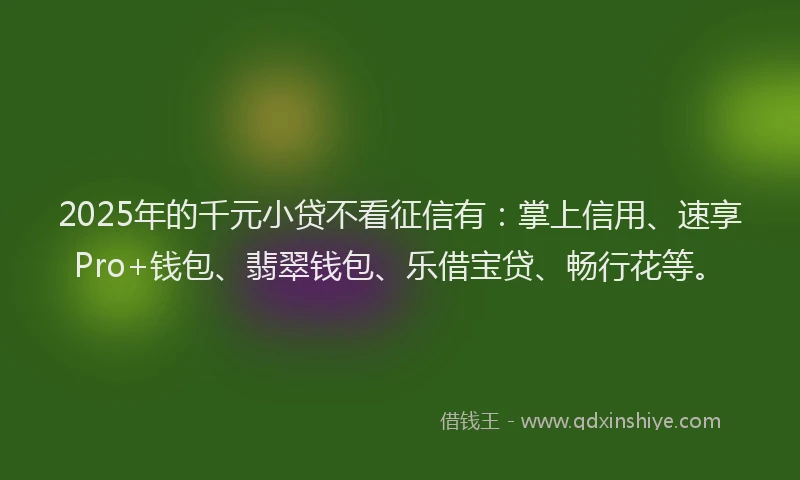 2025年的千元小贷不看征信有：掌上信用、速享Pro+钱包、翡翠钱包、乐借宝贷、畅行花等。