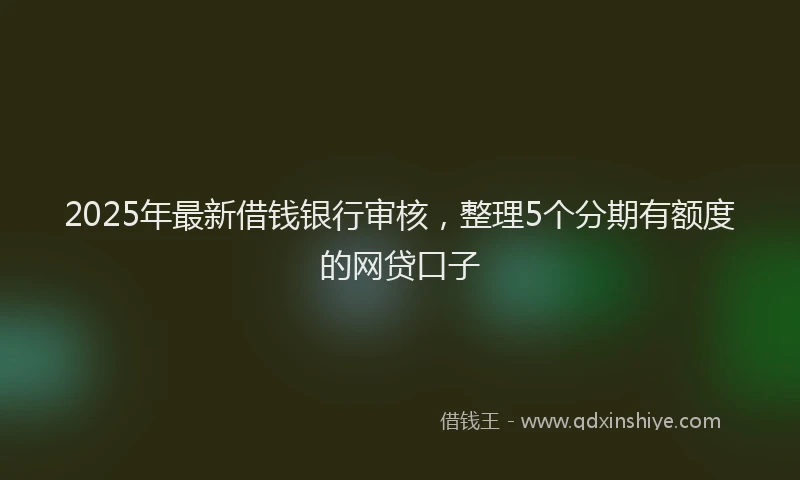 2025年最新借钱银行审核，整理5个分期有额度的网贷口子