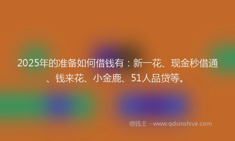 2025年的准备如何借钱有：新一花、现金秒借通、钱来花、小金鹿、51人品贷等。
