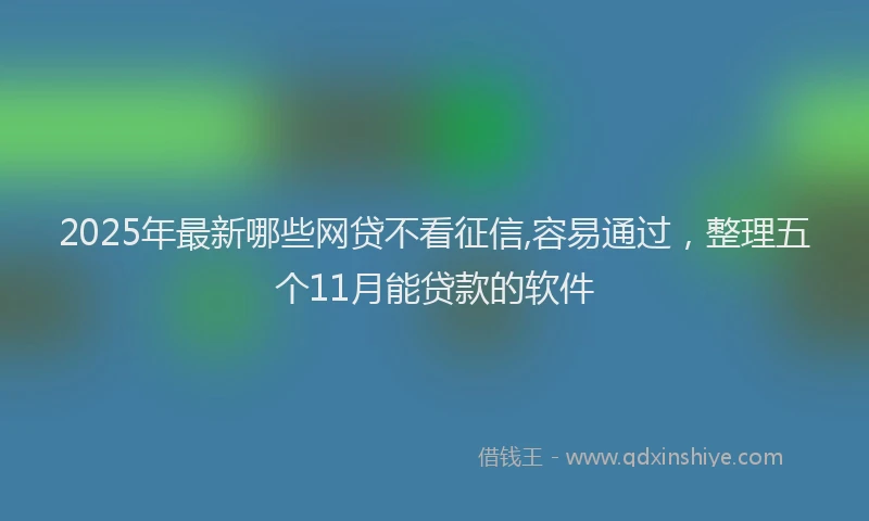 2025年最新哪些网贷不看征信,容易通过，整理五个11月能贷款的软件