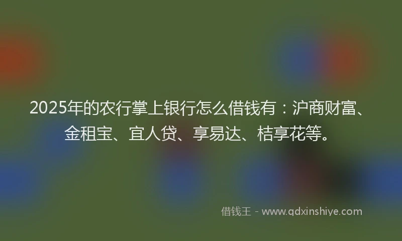 2025年的农行掌上银行怎么借钱有：沪商财富、金租宝、宜人贷、享易达、桔享花等。